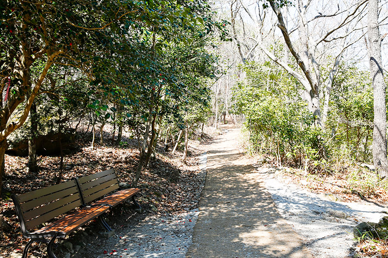 벤치